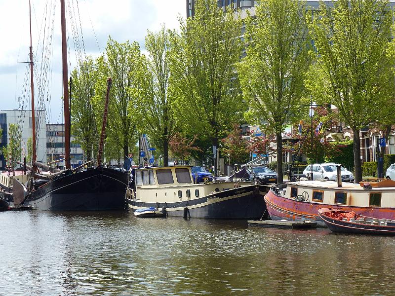 P1100267.JPG