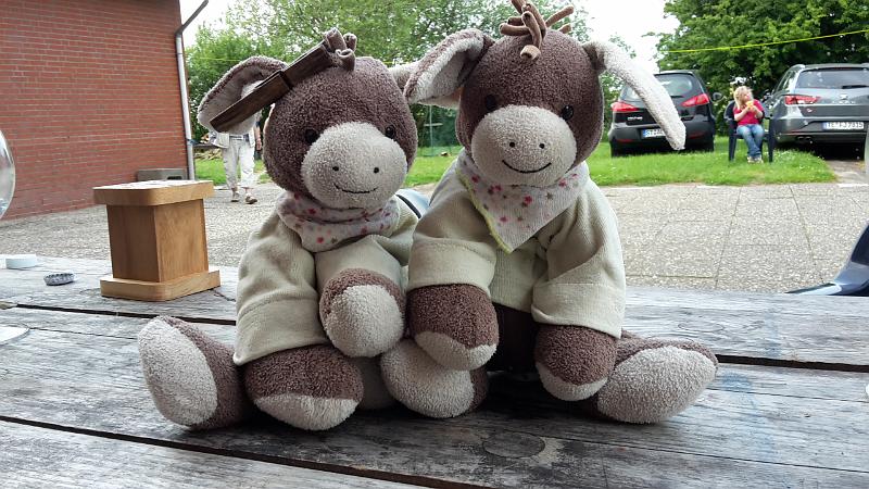 20170603_184837.jpg - Ditzum 2017