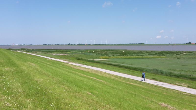 20170604_114218.jpg - Ditzum 2017
