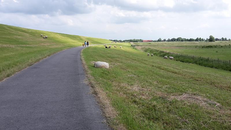 20170604_143241.jpg - Ditzum 2017