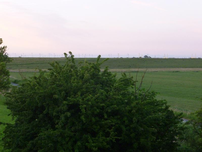 P1020037.JPG - Ditzum 2017