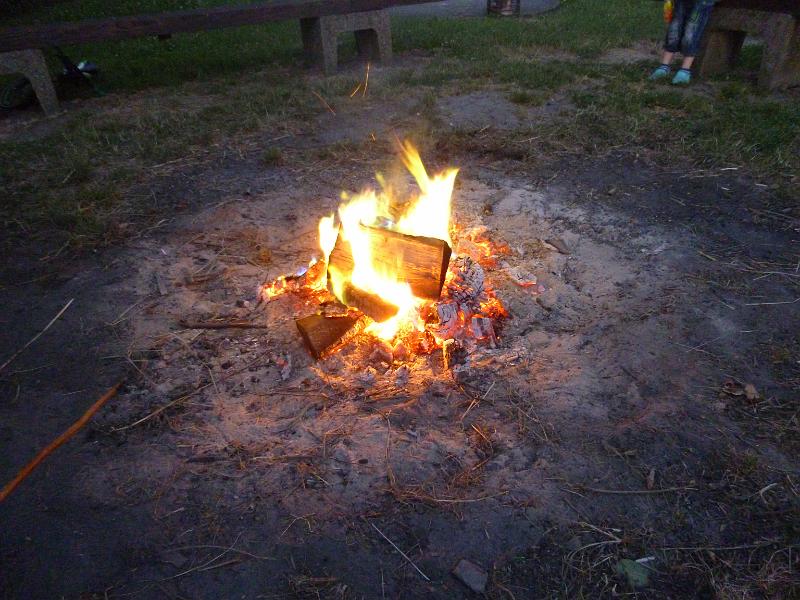 P1020038.JPG - Ditzum 2017