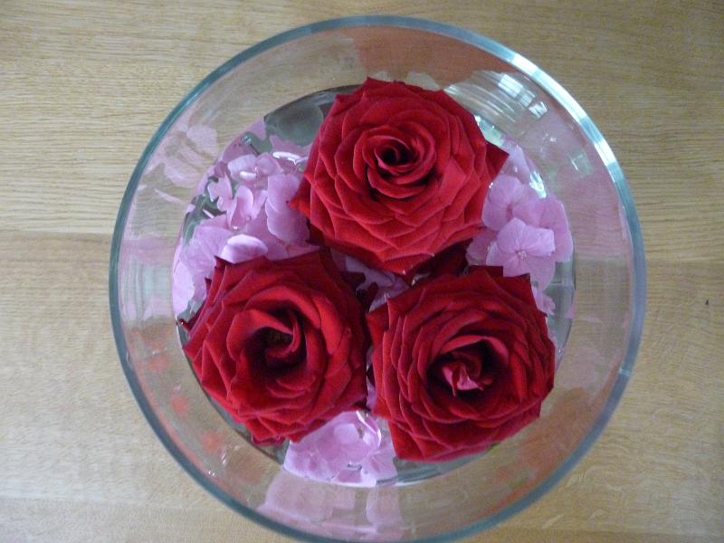 P1020129.JPG