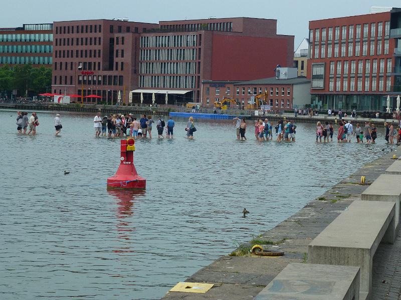 P1110129.JPG