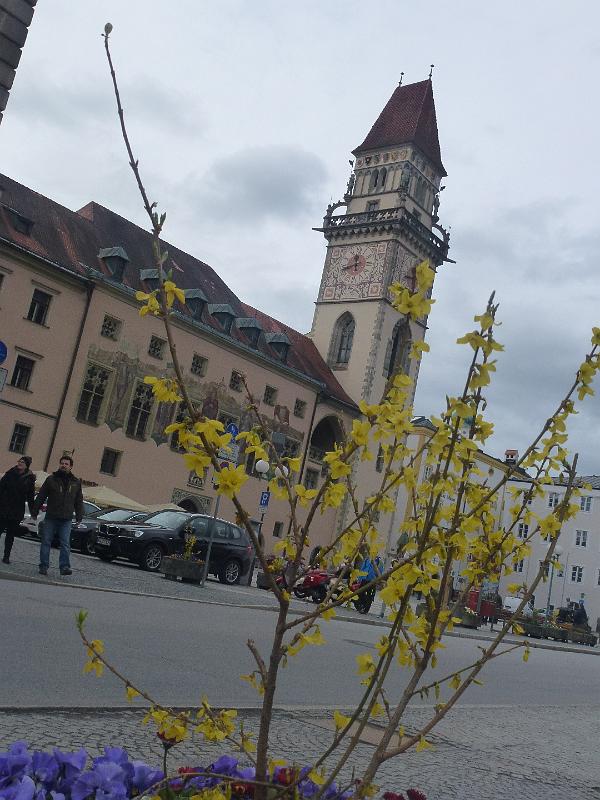 P1110779.JPG