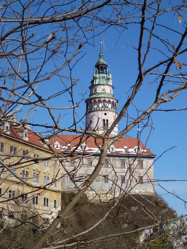 P1110942.JPG