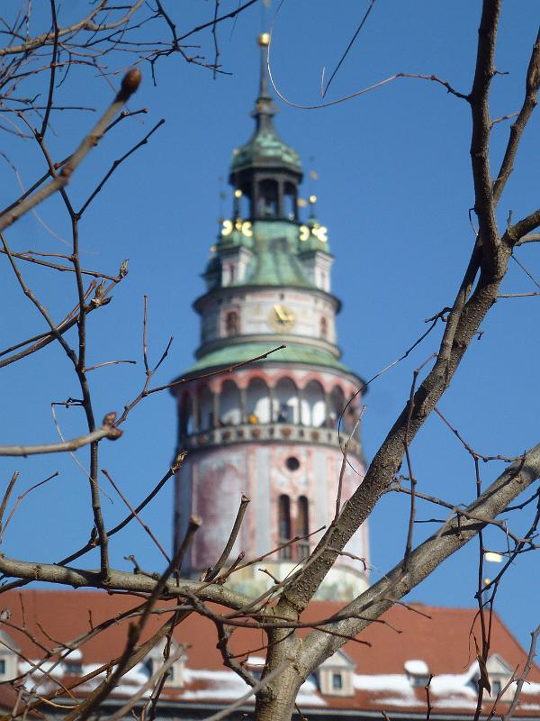 P1110943.JPG