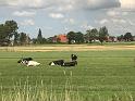 IMG_2222