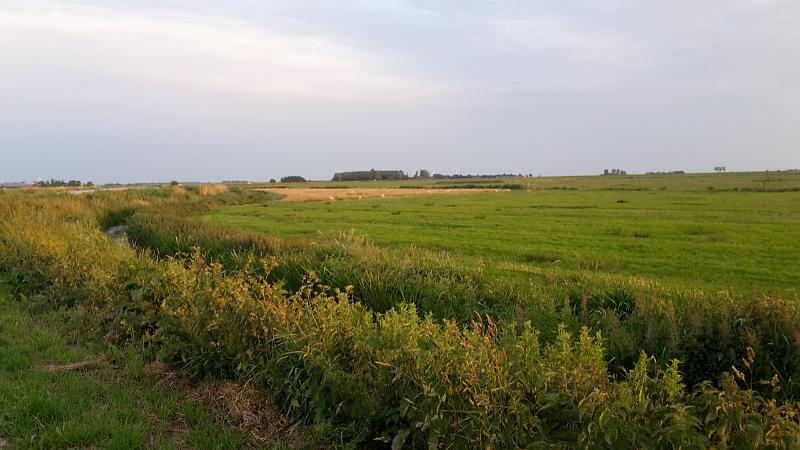 20190609_211122.jpg - ï¿½   ï¿½*ï¿½# f#          q]  q]  :   ï¿½                 ]      ï¿½                                                                                                                                                                                                                                                                                                                                          q]  ']  ]  ]  1      N                                ï¿½ï¿½ ï¿½ï¿½     ï¿½(