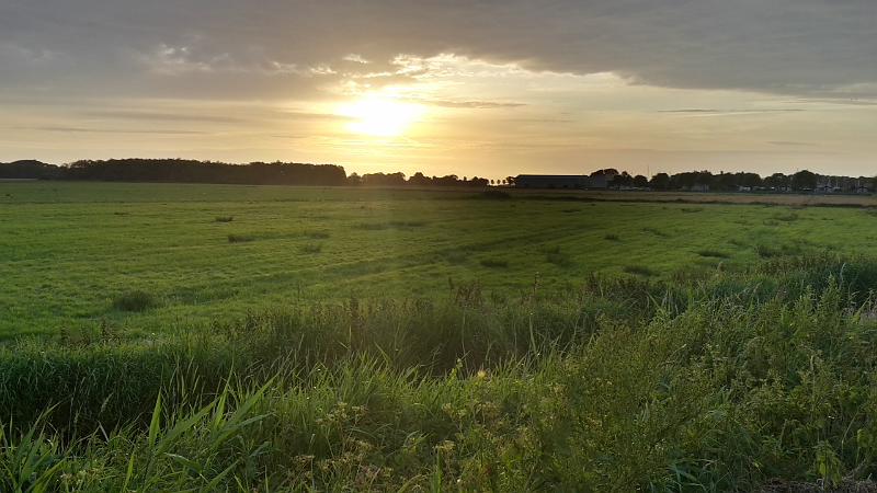 20190609_211328_Richtone(HDR).jpg