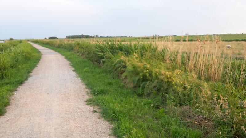 20190609_211401.jpg - �   â*®# f#          ã˜  ã˜     ®        ú   ú   ú       Žœ     ®  òÿÿÿòÿÿÿ                                                                                                                                                                                                                                                                                                                                   ã˜  ã˜  ä˜  ä˜  N     0u                                 †  †     À(                     Œ  Ó(                                                                                                                                                                                                                                                                                                  *   z      Œ  Ó(  Œ  Ó(                          À  ,                          À  ,                                                                                                                                                                                                                                                                                                                                                                                                                                                                                                                                                                                                                                                                                                                                      @   ²*«) f#                  àÿÿÿ           Ñ  e  ñ  }  ø  ®  µ  i  õ  w  Î           (  …!  -  €  i    c    a  ì  M  ½                          W  Y  o  ý  o  ý  o  ý  B  A                                      /  1                                           o  ý  c                                         j             h   ‘  �  B  =  ‚     ª  Ã  j   "  Ñ    W  Y  Ö                                      c  R  `   +  â  Ï   =  V  /  a  ì  %       .  é                                       m  Ÿ                                                                                                                                                                                                                                   .      “  ø  ®              -  €  ÿÿÿÿ    1  è� ´   Í  ó             ûÿÿÿ       ^                                                                                                                                                                                                                                                                                                                     ¡  fÿÿÿùÿÿÿÎÿÿÿA  ñÿÿÿ   Iÿÿÿ£  ò           x      ø   ã   #   �   ö         ×            ø      ˆ   ó      øÿÿÿ   û                       €                 €                                   €                                                                                                                                                                ¯¯¯¯ ´¯ ´  ÿ     ¯¯¯¯                                                                                                                                                                                                                                                                                                                                                                                                                                                                                                                      ¯¯¯¯                                                                                                                                                                                                                                                                                                                                                                                                                                                                                                                                                                                                                                                                                                                                                                                                                                                                                                                                                                                                                                                                                                          ´  ¯  ´                                                                                                                                                                                                                                                                                                                                                                                                                                                                                                                                                                                                                                                                                                                                                                                                                                                                                                                                                                                                                                                                                                                                                                                                                                                                                                                                                                                                                                                                                                                                                                                                                                                                      @  üüüü' f#          2      @      |  ó  B  W  C    T  >  ê  d  ±  ß  ë   Ð"  >&  C)  å+     À>  l?   @      @      |  ó  B  W  C    T  >  ê  d  ±  ß  ë   Ð"  >&  C)  å+     À>  l?   @      @      |  ó  B  W  C    T  >  ê  d  ±  ß  ë   Ð"  >&  C)  å+     À>  l?   @      €      €     €     €                                                    $   (   ,   0   4   8   <   @                                                                                €                                                                                                                                                                                                                                                                            .  N     0u                                                                                                  ¸           ™   X  ¼   ï   @        ¾  Ü  ú    6  T  r  �  ¯  x   v   s   q   o   m   j   h   e   b       È   @  J  h  †  ©                                                          ö                                                                                                                                                                                                                                                                                                                                                                      9062 2014/07/28 21:52:52                                                                                                                                                                                                                                                                                                                                                                                                                                                                                                                                                                                                                                                                                                                                                                                                                                                                                                                                                                                                                                                                                                                                                                                                                                                                                                                                                                                                                                                                                                                                                                                                                                                                                                                                                                                                                                                                                                                                                                                                                                                                                                !   2   0                                                                                                                                                                                                                                                                                                                                                                                                                                                                                                                                                                                                                                                                                                                                                                                                                                                                                                                                                                                                                                                                                                                                                                                                                                    À  ,