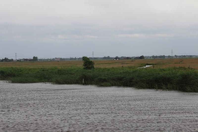 IMG_1727.JPG