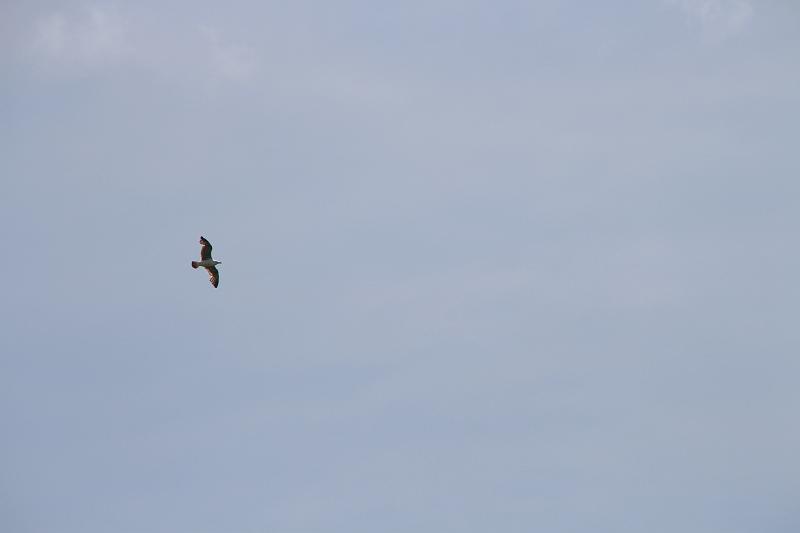 IMG_1994.JPG