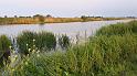 IMG-20190610-WA0001