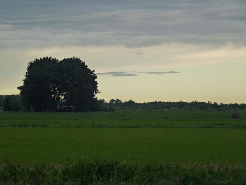 f0043720.jpg