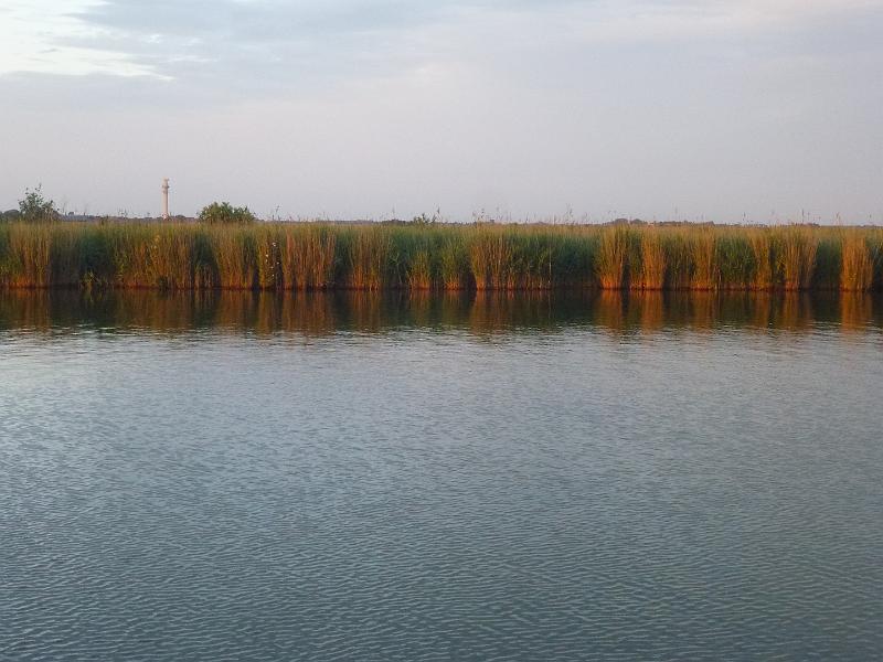f0600904.jpg