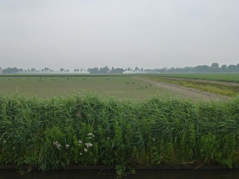 f0956008.jpg