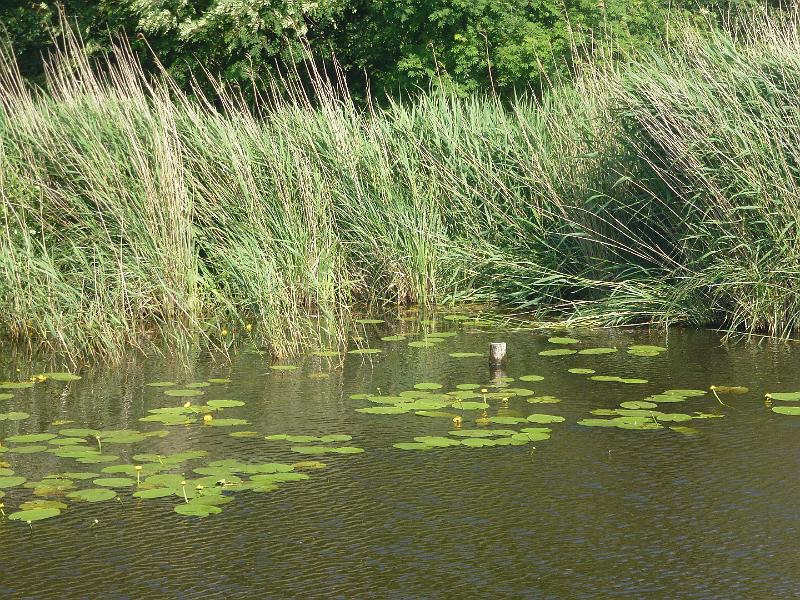 f2753568.jpg