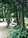 IMG_2756