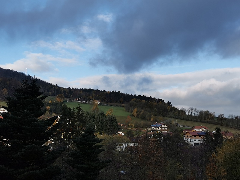 IMG_20211106_083144.jpg