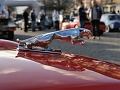 IMG_20211106_085648