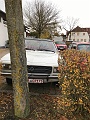 IMG_3531