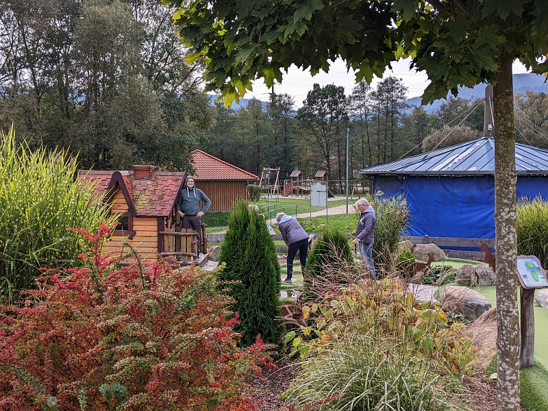 PXL_20231017_111141931.jpg