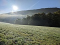 PXL_20231016_070031207
