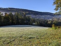 PXL_20231016_070037851