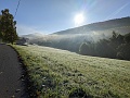 PXL_20231016_070111831