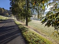 PXL_20231016_070224436