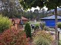 PXL_20231017_111141931