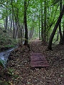 PXL_20231019_063922870