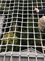 IMG_8910