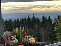 IMG_8938