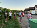 IMG_0411