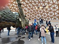 IMG_0454