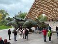 IMG_0458