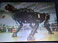 IMG_0459