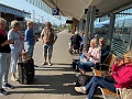 IMG_4142