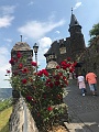 IMG_5917