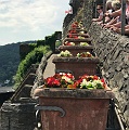 IMG_5922