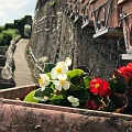 IMG_5923